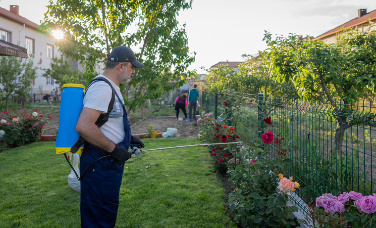 A man is spraying his plants to have a good garden pest management.