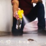 A man is spraying an insect to eliminate it and demonstrate what is pest control to everyone.