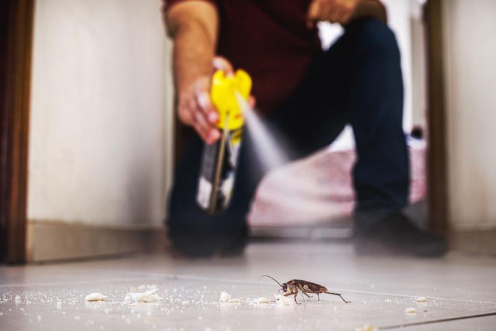 A man is spraying an insect to eliminate it and demonstrate what is pest control to everyone.