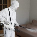 Residential pest control experts undertake treatments to determine the bed bugs how long to get rid of.