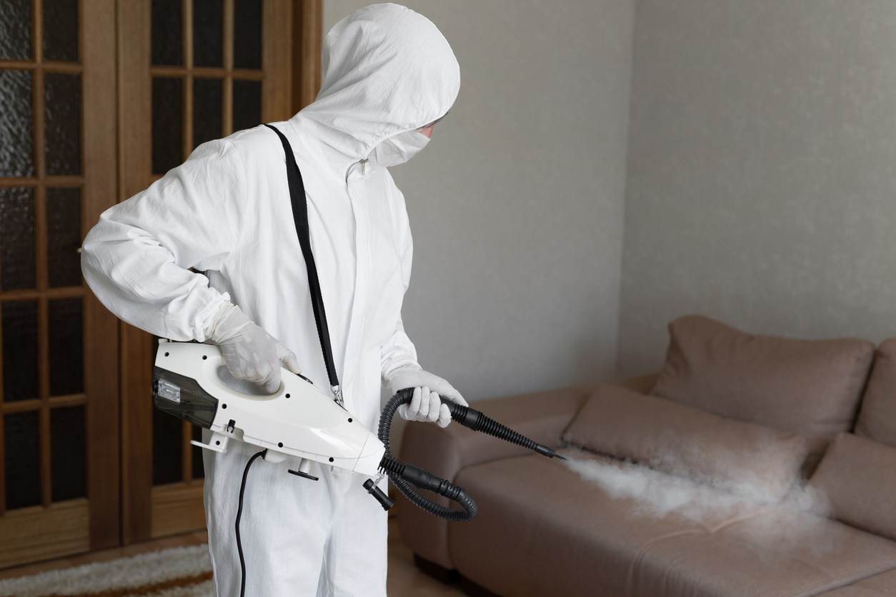 Residential pest control experts undertake treatments to determine the bed bugs how long to get rid of.