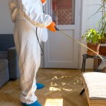 A commercial pest control expert was hired to provide pest management services for unwanted and potentially unsafe pests.