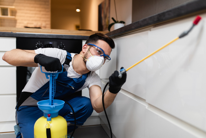 As an exterminator service, a man is using chemical methods to remove or prevent infestations at home.