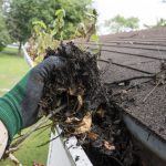 A hand with a glove is removing dry leaves from the gutters to prevent clogs that cause mosquitoes to lay their eggs there. This is something to expect and prepare for during the seasonal pest patterns in Calgary.